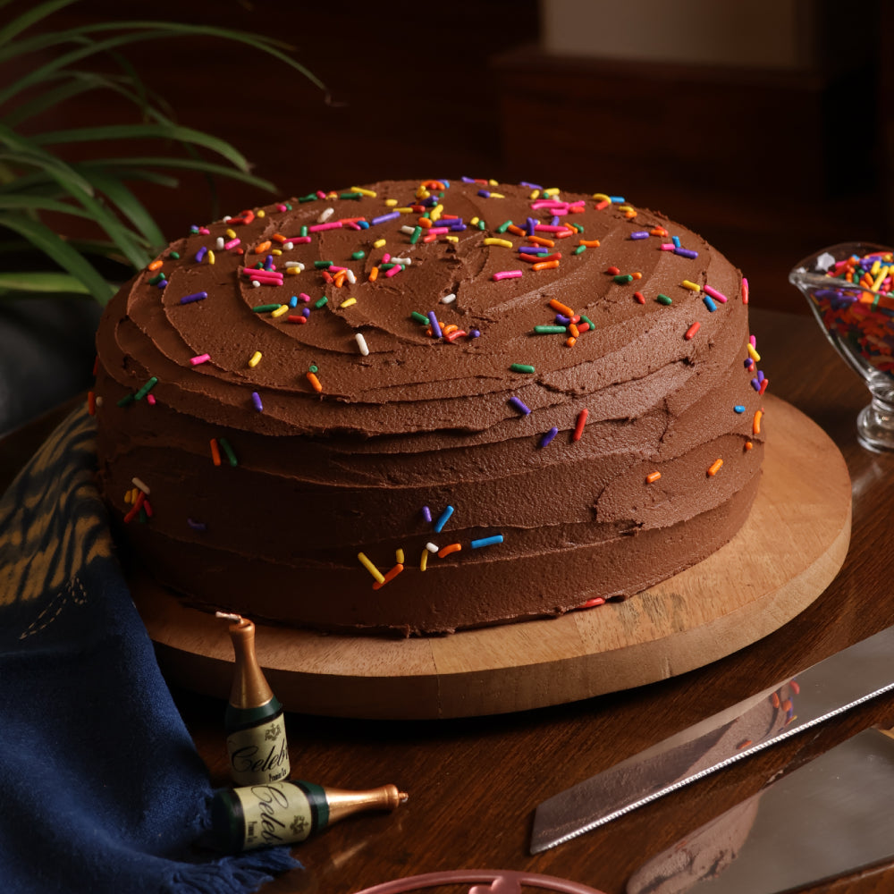 Chocolate Cake With Buttercream Frosting &amp; Sprinkles